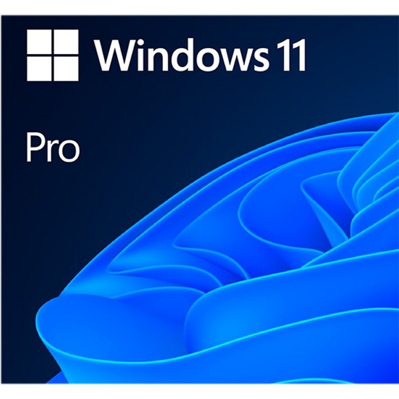 Microsoft Windows 11 Pro 64b  ESD